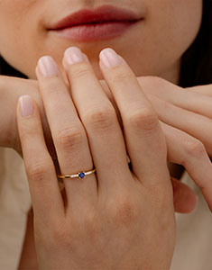 Paradijsvogel nr. 19