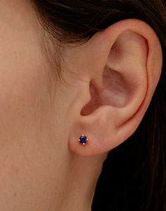 Paradijsvogel nr. 43