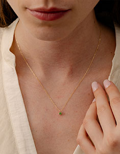 Oiseau de Paradis nº 6