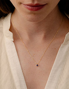 Aves del Paraíso n.º 8