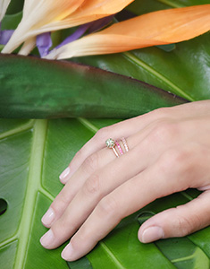 Oiseau de Paradis Nº2