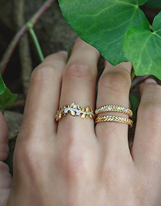 Grădină Fermecată Nº13