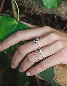 Grădină Fermecată Nº17