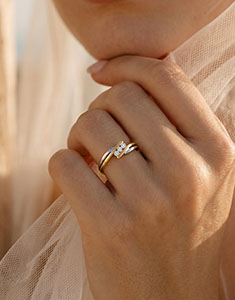 Cuib Preţios nr. 36