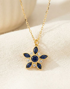 Oiseau de Paradis nº 11