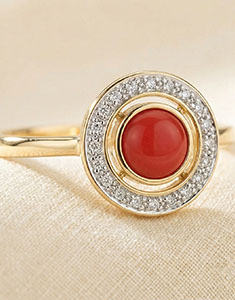 Aves del Paraíso n.º 7