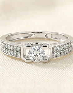 Constelación n.º 65