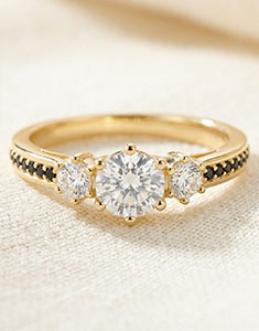 « L'Atelier » nr. 558599