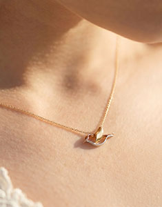 Precioso Secreto n.º 25