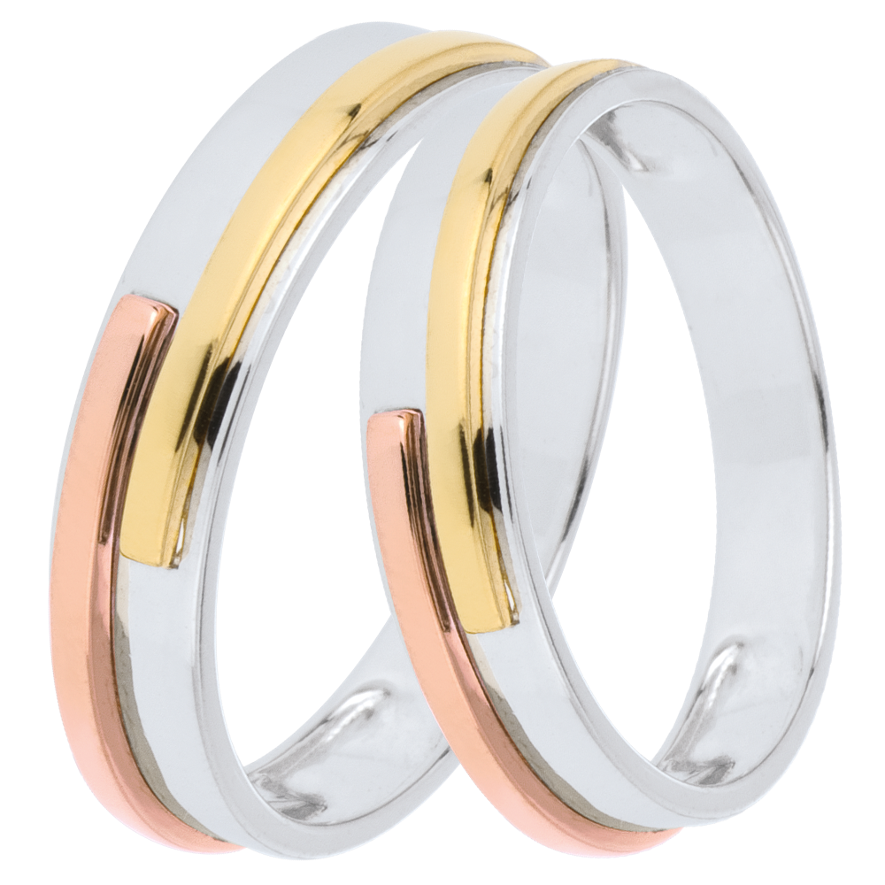 Duo d'alliances Titan- Trois ors -18 carats