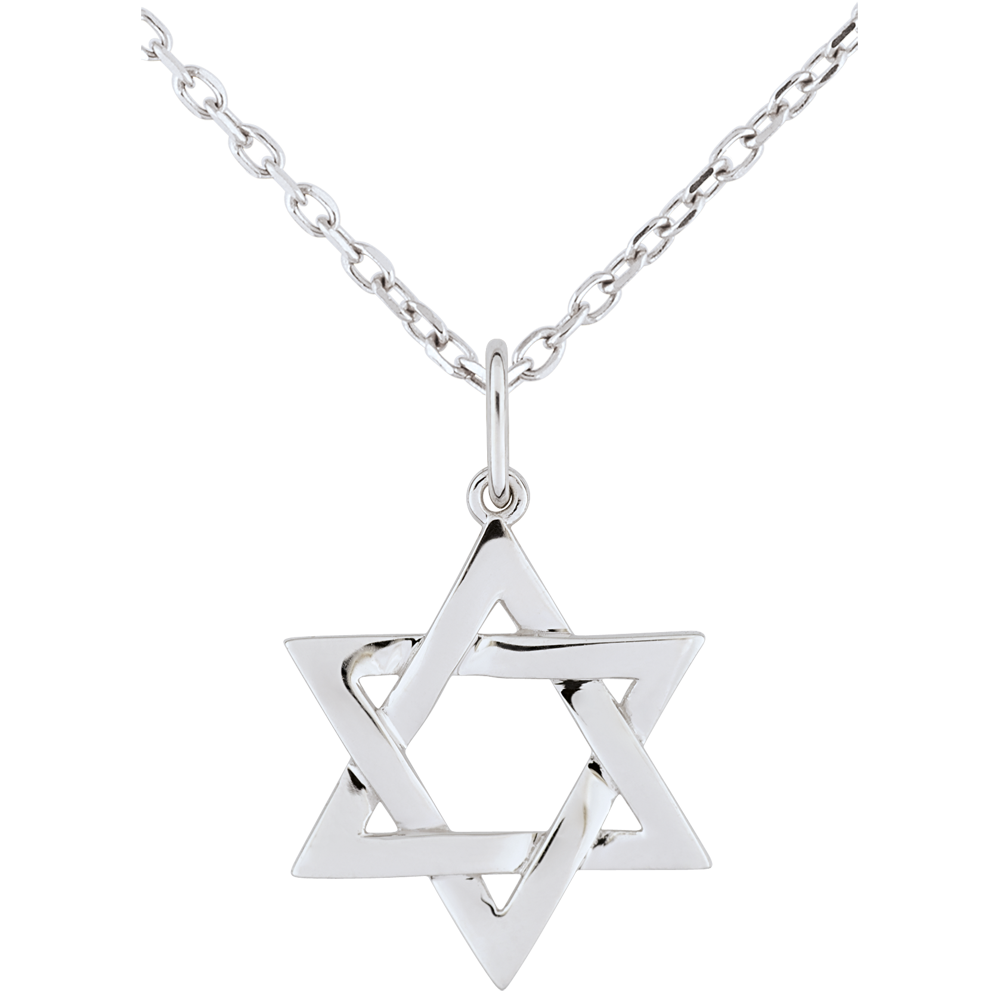 Collana Stella Di David In Acciaio Inossidabile - Magen David Amuleto, Gioiello Vintage Uomo Donna, Catena 60 Cm