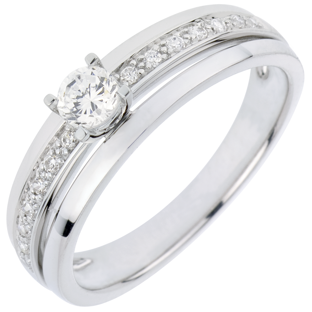 Promesa n.º 64