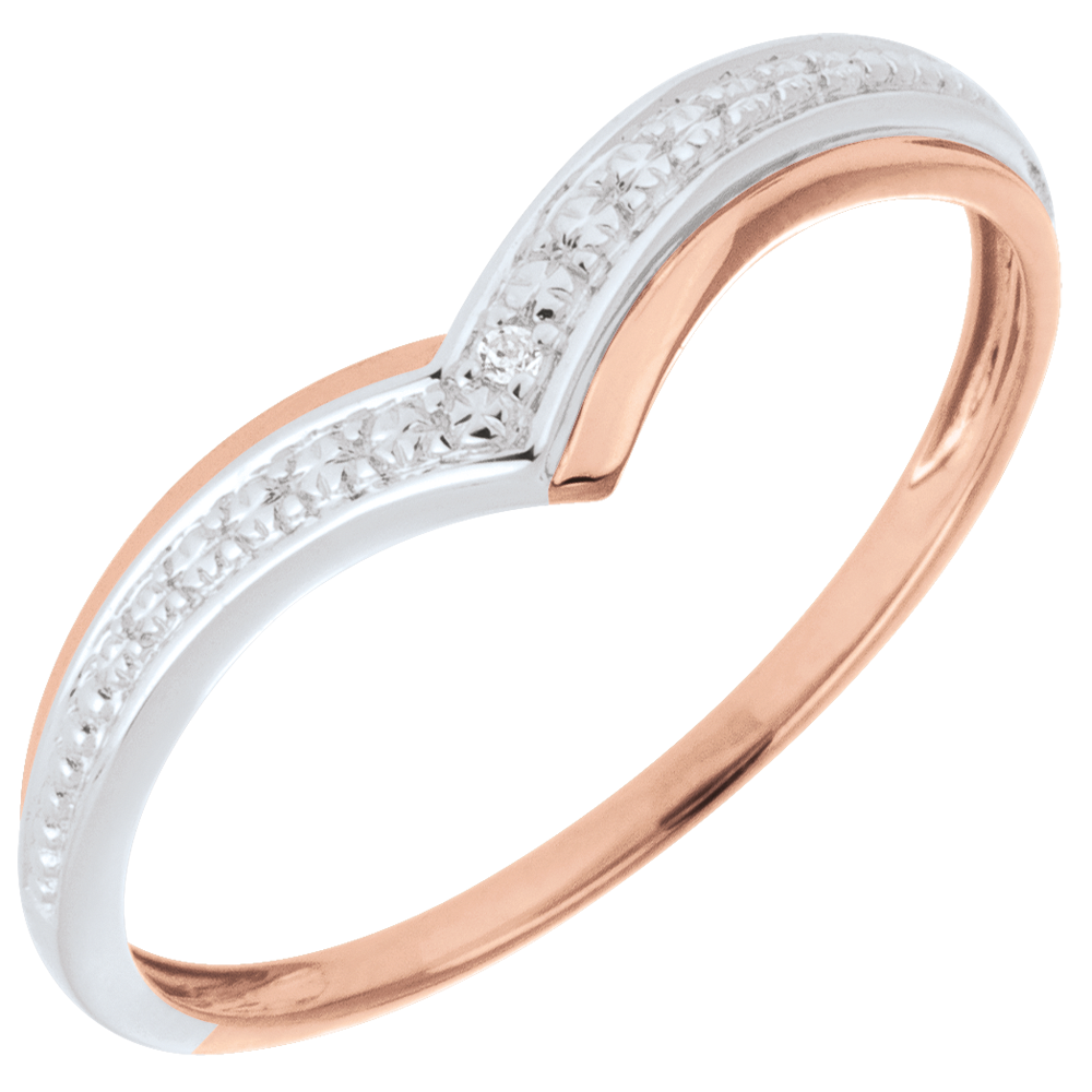 Abbondanza n. 22