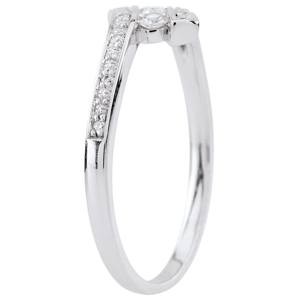 Cuib Preţios nr. 94