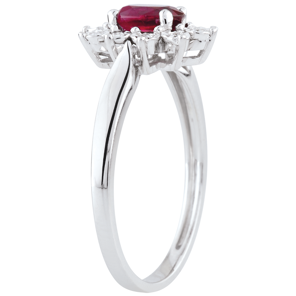 Eeuwige Edelweiss nr. 1