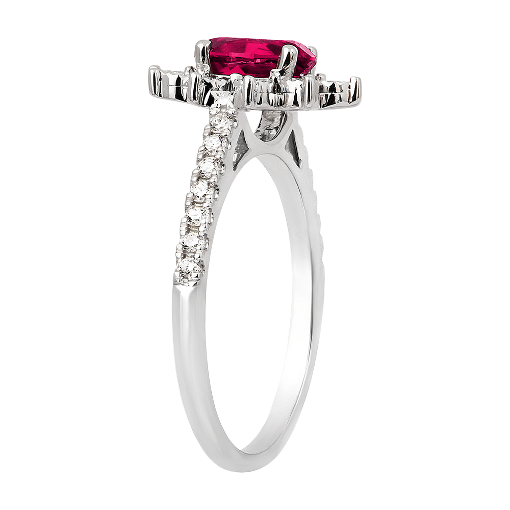 Eternel Edelweiss nº 4