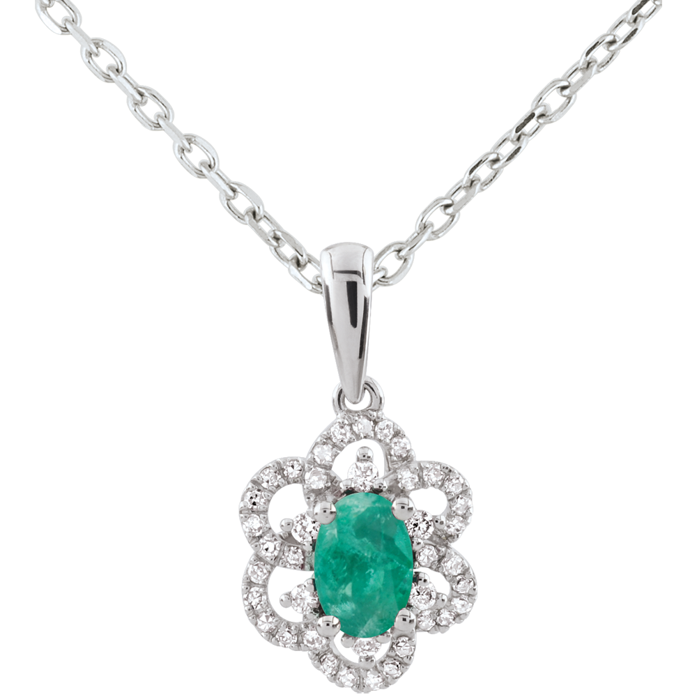 Eternel Edelweiss nº 6