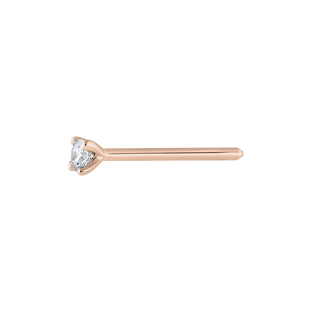 Fraicheur No. 23