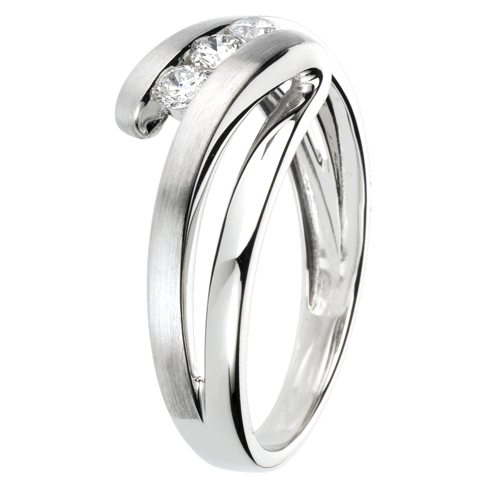 Nid Précieux No. 40