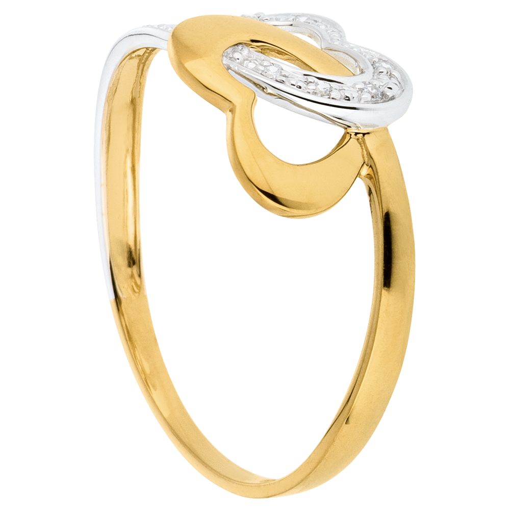 Précieux Secret nº 9