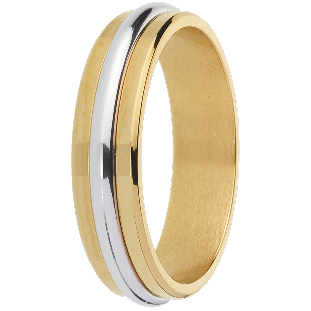 Promesa n.º 8