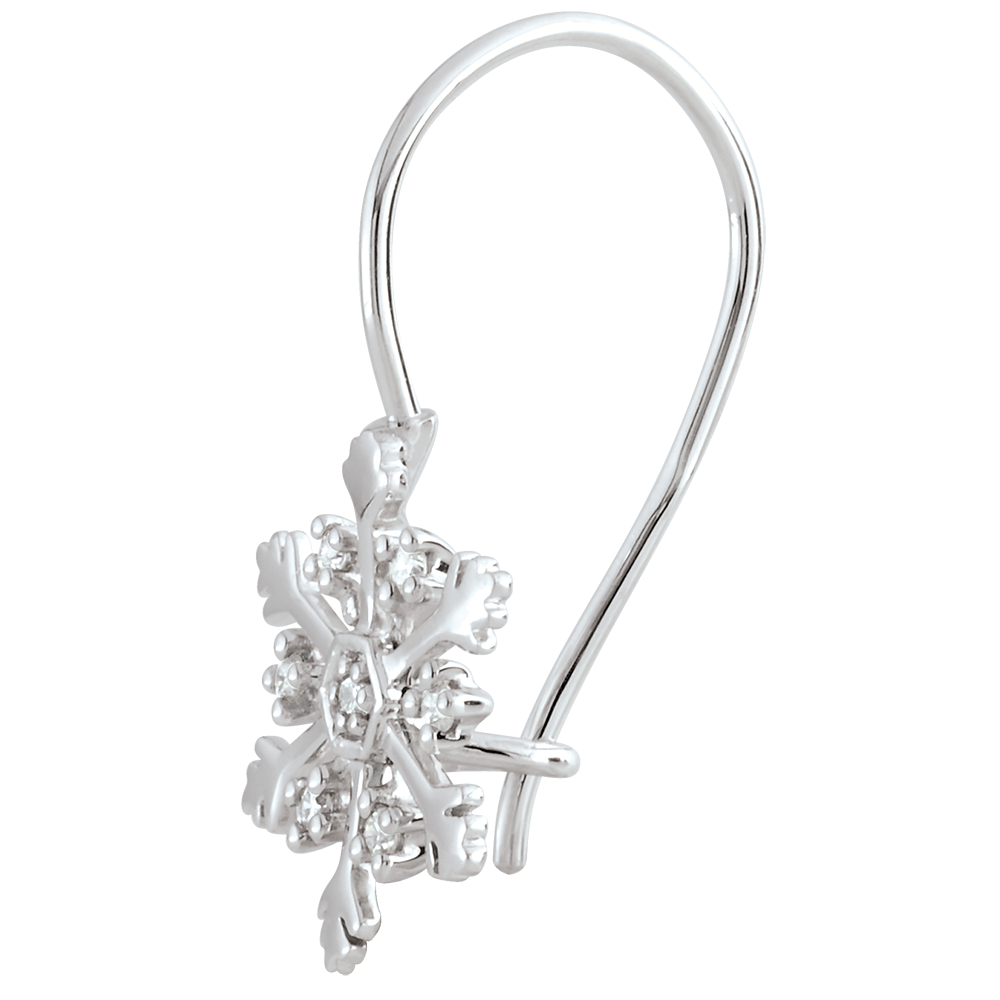 Vielfalt Nr. 20