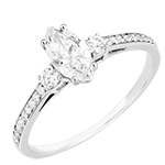 Edenly dispose d'un service co