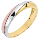 Alliance Saturne Trilogie - 3 ors - trois ors 9 carats