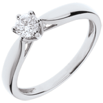 Bague Solitaire Roseau 6 griffes - or blanc 18 carats - 0.3 carat