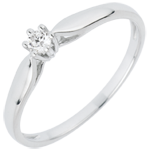 Ring Riet 6 Diamanten klauwen - 0.07 karaat