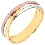 Trouwring Saturnus Trilogie variatie - drie goudkleuren - 9 karaat