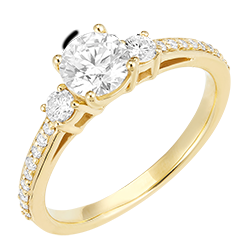 « L'Atelier » Nº162425 - Ring Geelgoud 18 karaat - Diamant rond 0.5 Karaat - Aanleunende edelstenen Diamant - Setting Diamant