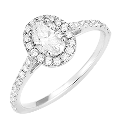 « L'Atelier » Nº170151 - Anillo Oro blanco 18 quilates - Diamante Ovalo 0.5 quilates - Halo Diamante - Engastado Diamante