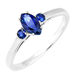 « L'Atelier » No. 164164