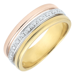Ring Egeria - drie goudkleuren en diamanten - 9 karaat
