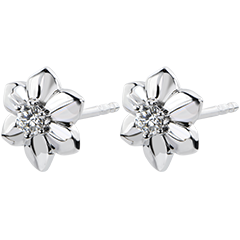 Ohrringe Frische - Dalhia - 18 Karat Weißgold und Diamant