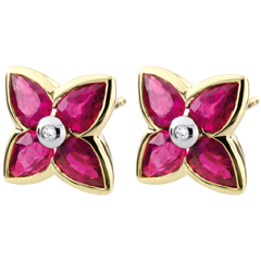 Boucles d'oreilles Belle étoile - rubis - or jaune 9 carats