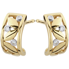 Boucles d'oreilles Fraicheur - Créoles Feuillage - or jaune 9 carats