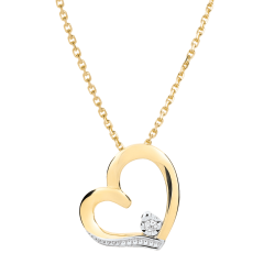 Naszyjnik w kształcie serca Miłość-Miłość - złoto białe i złoto żółte 9-karatowe