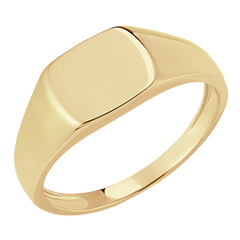 Anello Chiaroscuro - Chevalière Enea - oro giallo 9 carati