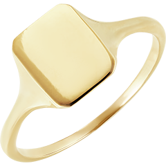 Bague Clair Obscur - Chevalière Héra - or jaune 9 carats