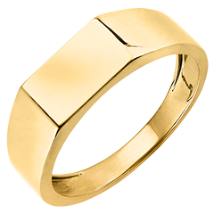 Clair Obscure Ring - Hector Signet Ring - yellow gold 9 carats