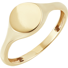 Dark light ring- Artemis signet ring - 9 carat yellow gold