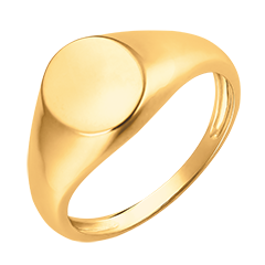 Anillo Claro-Oscuro - Anillo de Sello Aquiles - oro amarillo de 18 quilates