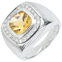 Ring Zonneoog - zilver, Diamanten en edelstenen