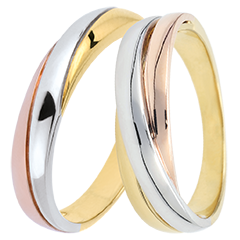 Duo inele de nuntă Saturne – Trei tipuri de aur – 18K