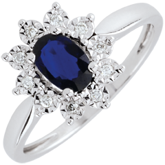 Ring Eeuwige Edelweiss - Saffier en Diamanten - 9 karaat witgoud