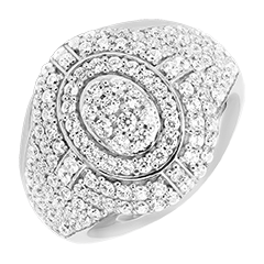Élixir Ring - 9 karaat witgoud en synthetische diamanten