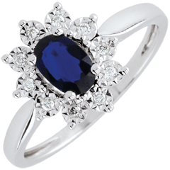 Eternal Edelweiss Ring - Sapphire and Diamonds - 18 carat White Gold