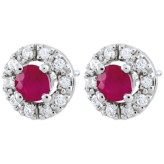 Boucles d'oreilles Clévia - rubis - or blanc 18 carats
